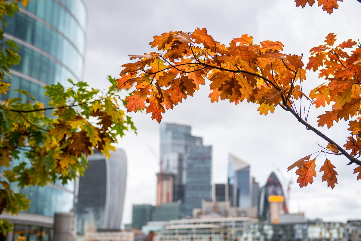 When does autumn start in the UK in 2024? Understanding the autumnal equinox