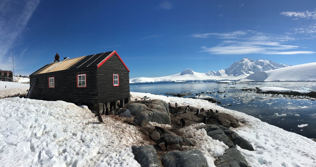 Four British women to run post office and count penguins in Antarctica