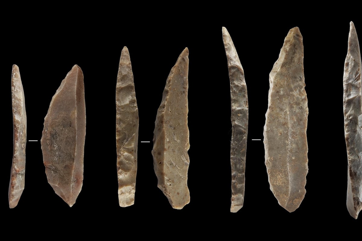 Research sheds light on modern humans and Neanderthals co-existing in France