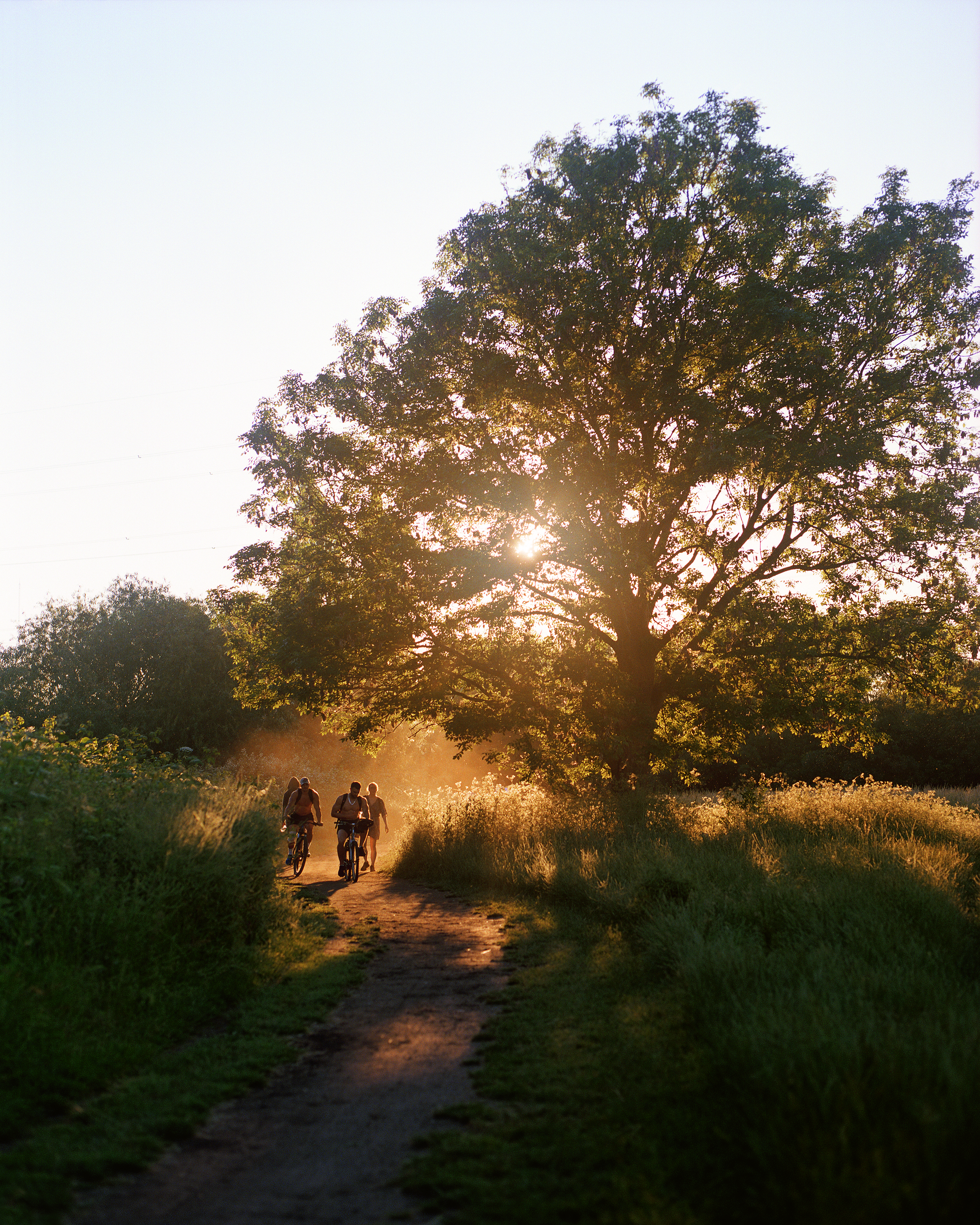 New book exploring the wilderness of Hackney Marshes