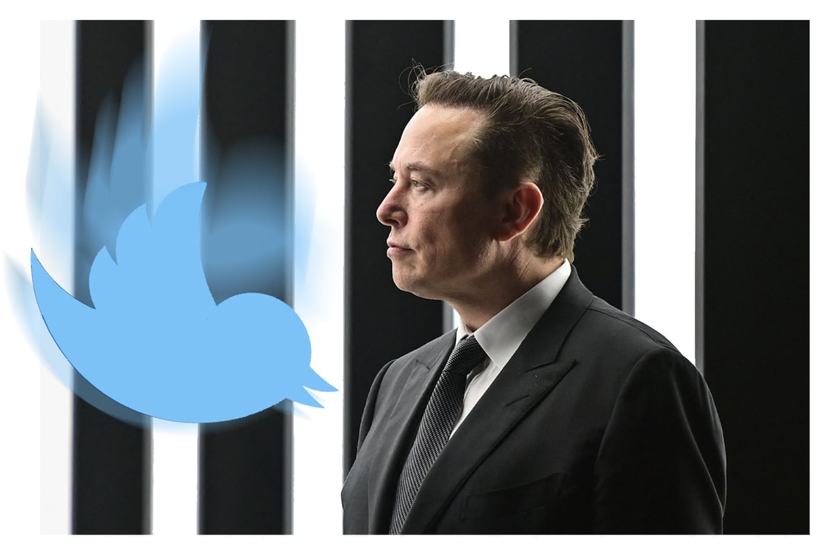 Elon Musk steps down as CEO of Twitter as new female boss announced