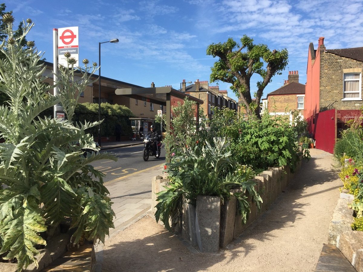 De-paving: the benefits of removing concete slabs from city gardens