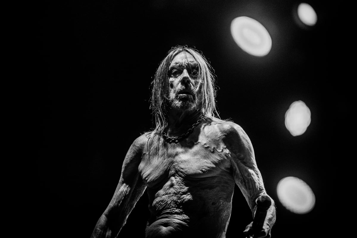 Iggy Pop to play one-off outdoor show with Blondie and punk supergroup
