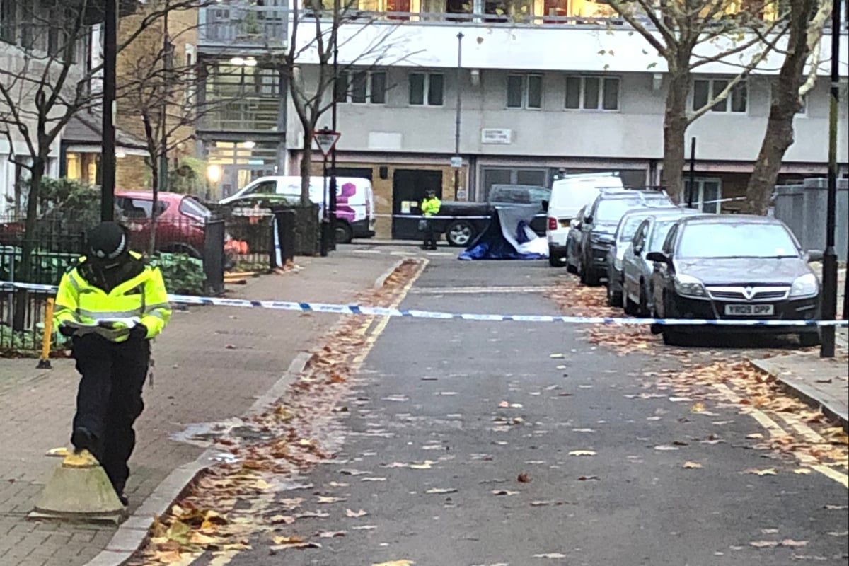 Man killed, another hospitalised in double stabbing near Regent’s Park