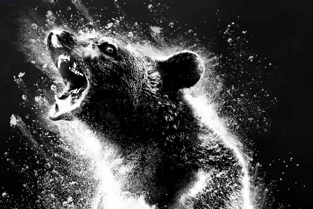 Cocaine Bear: Trailer released for wild Elizabeth Banks film