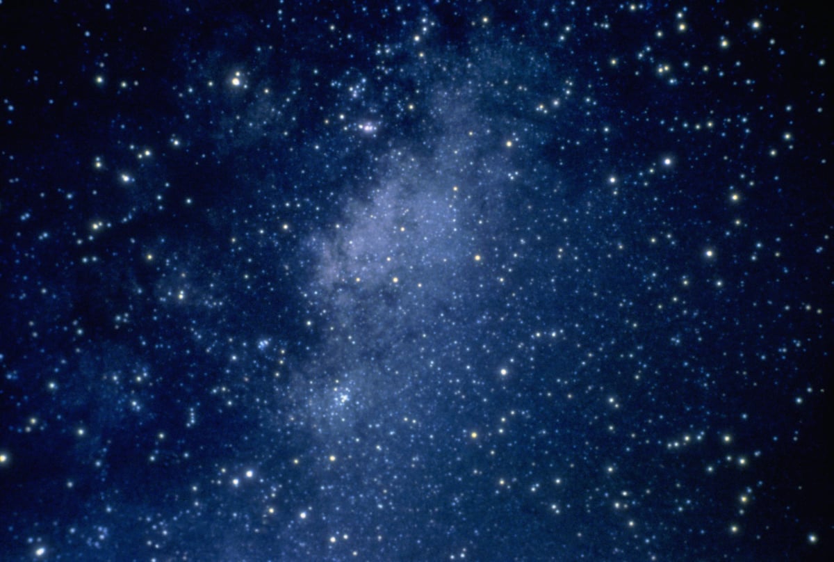 What’s written in the stars for you this festive season?