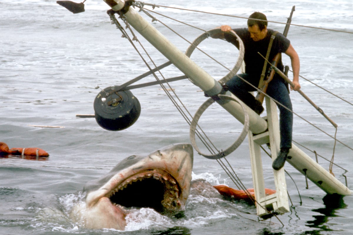 Steven Spielberg ‘truly regrets’ decimation of shark population due to Jaws