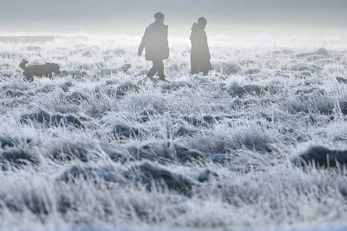 Freak ice-fog sparks London air pollution warning 