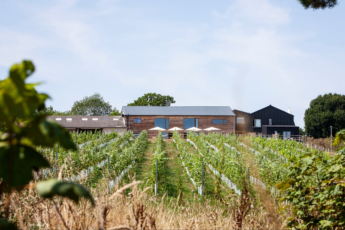 The chicest vineyard stays in the UK, from Chapel Down to Tillingham 