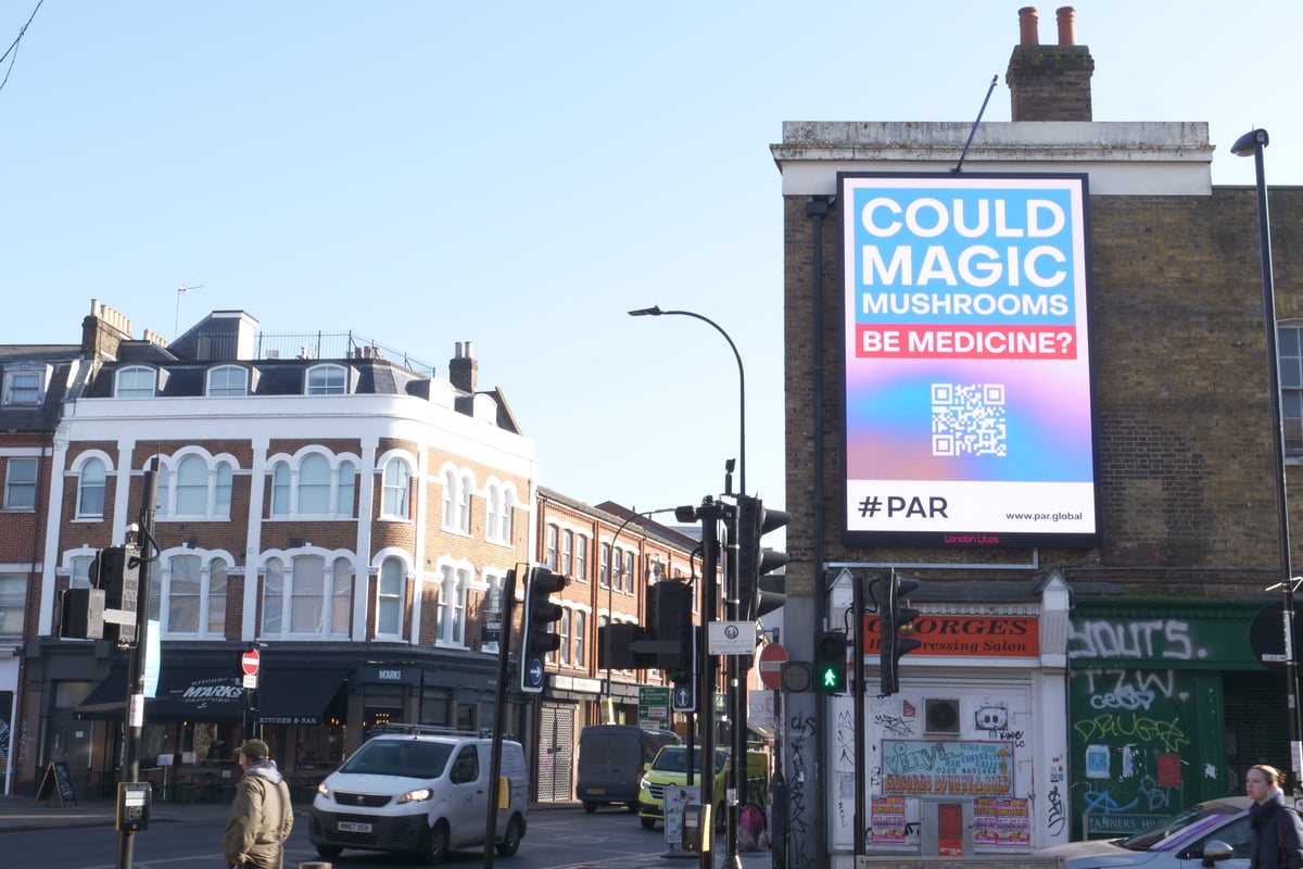 Is it finally time to change the law around magic mushrooms?