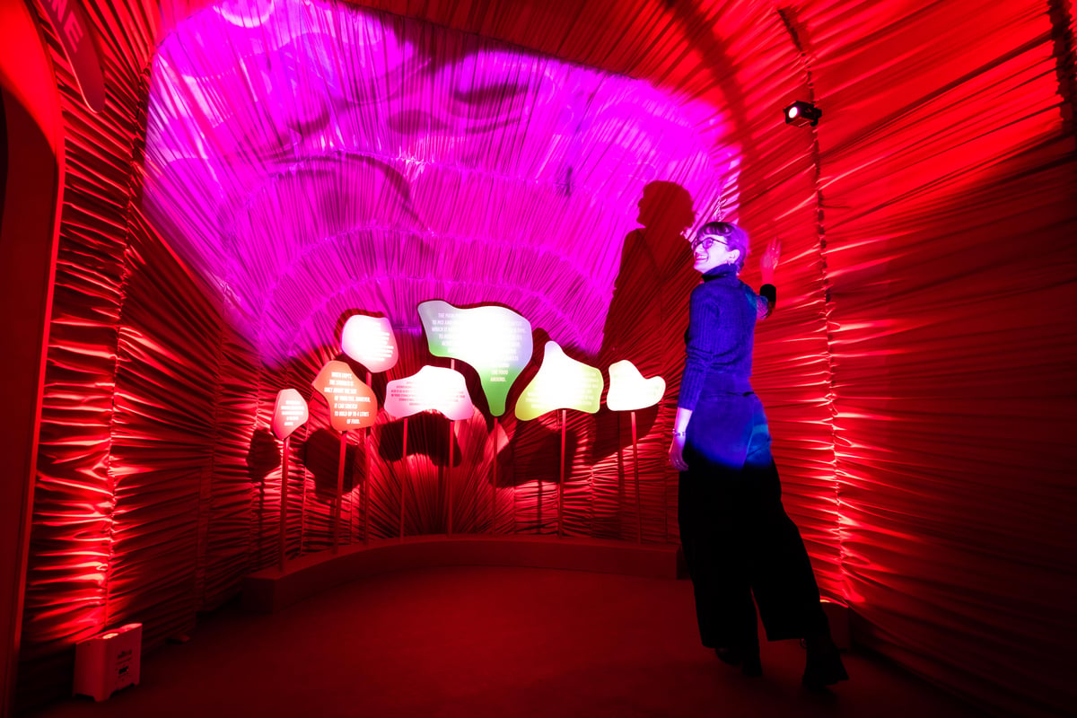 Interactive ‘What the gut?’ museum launches in London with Activia and Dr Zoe Williams