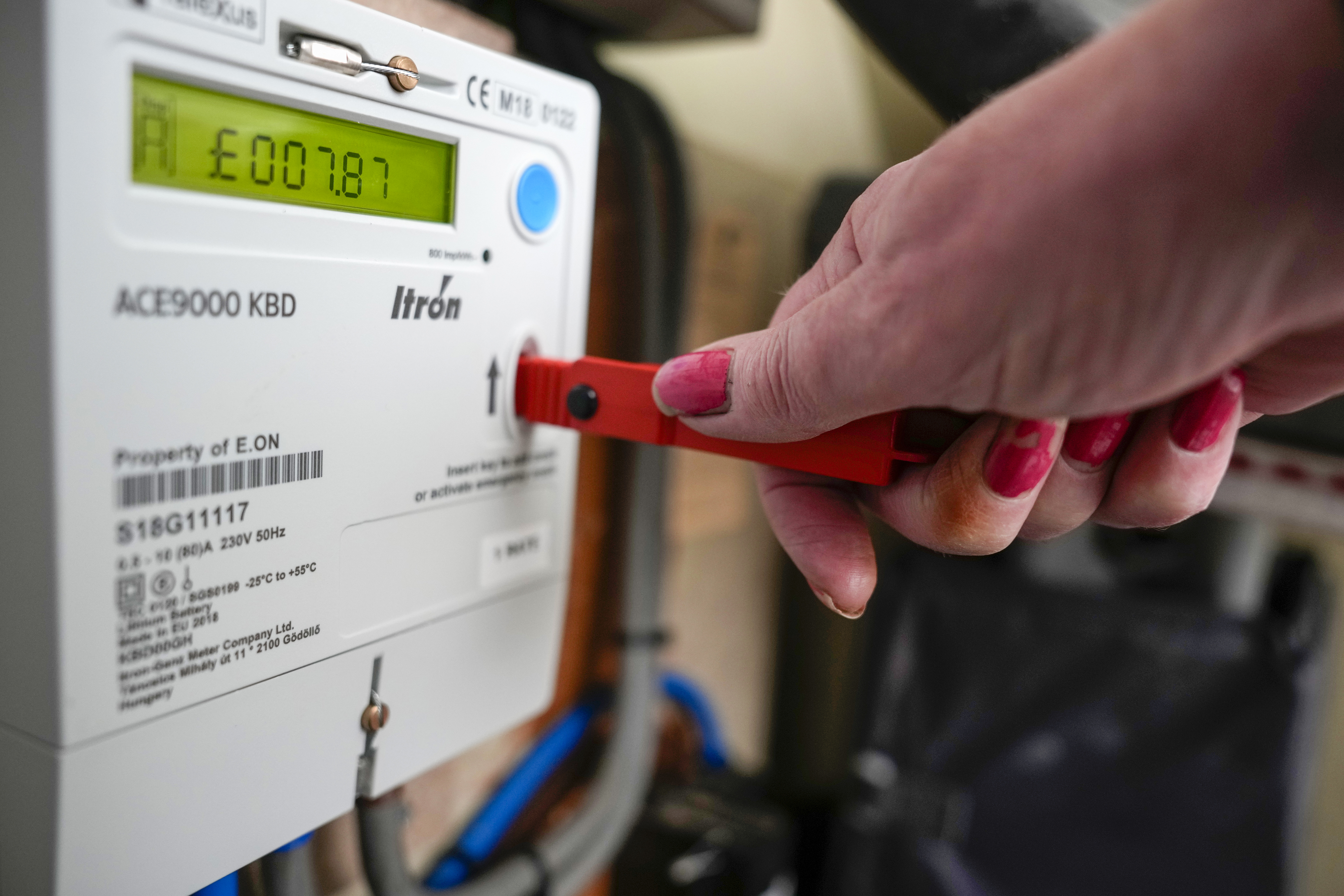 Woman, 80, died after fall from ladder while topping up energy meter