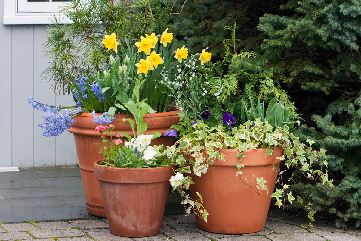 Five easy things to do now to prep your garden for summer