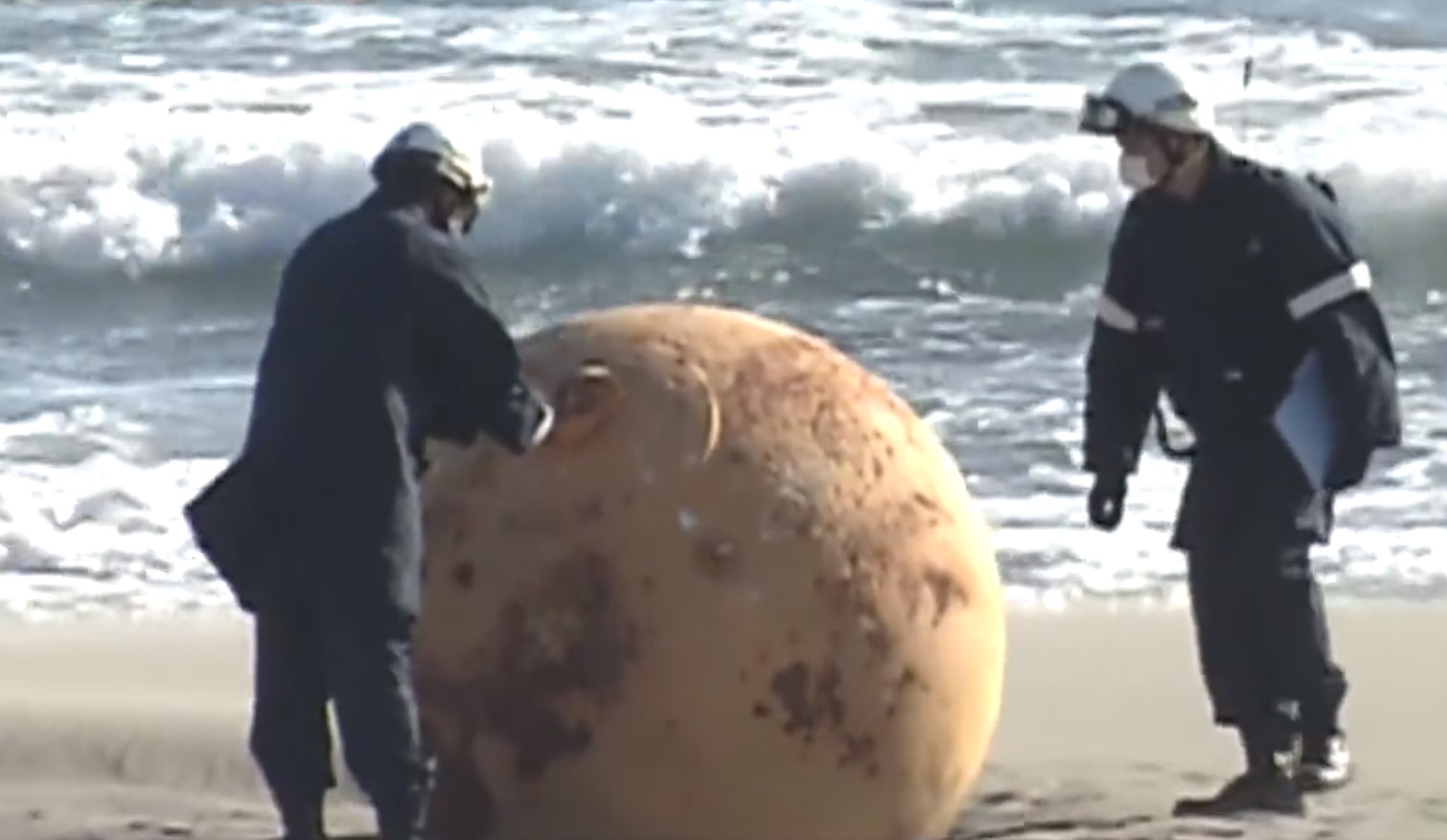 Mystery as giant metal orb washes up on Japanese beach