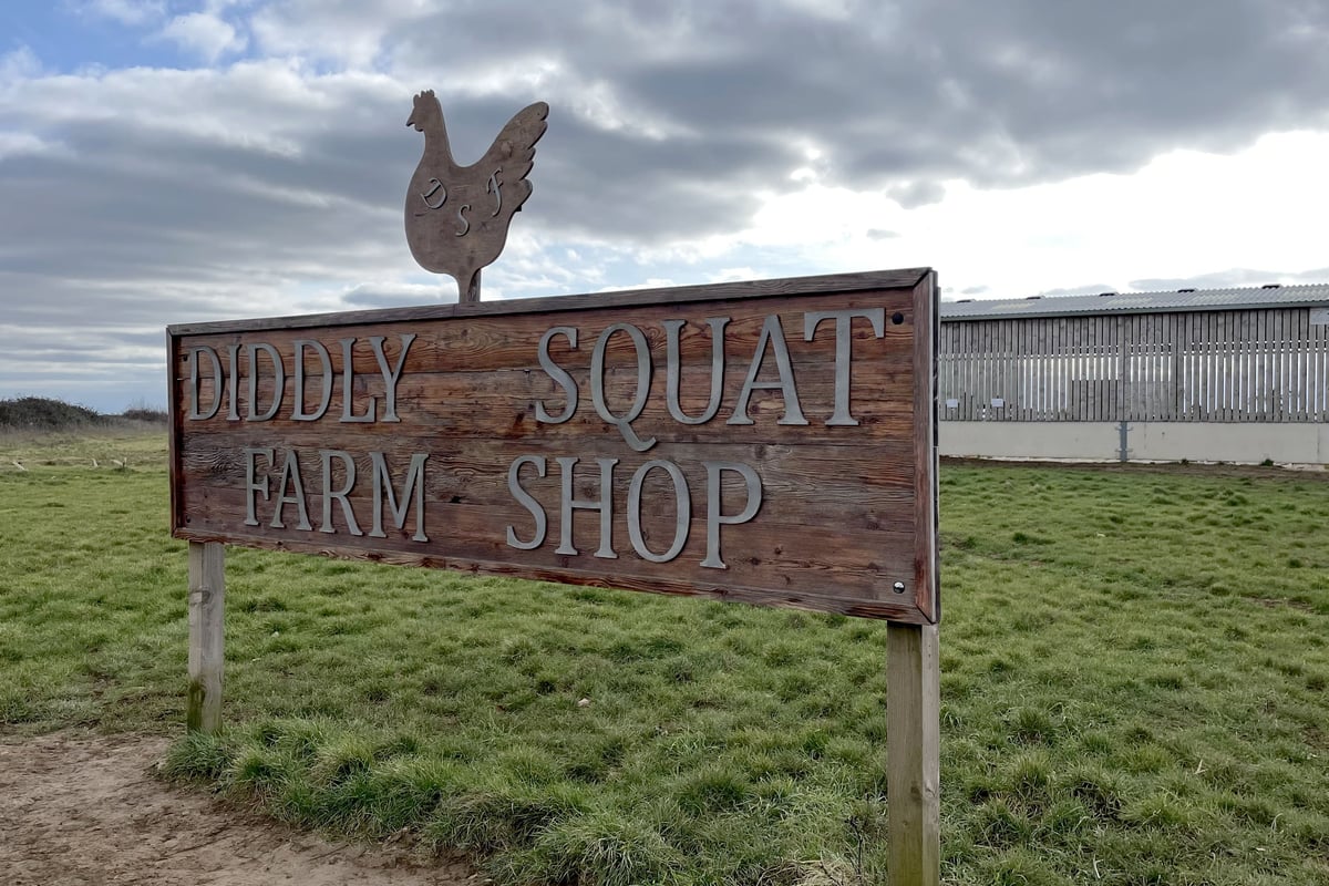 Woman raises more than £25,000 for needy farmer who appeared on Clarkson’s Farm