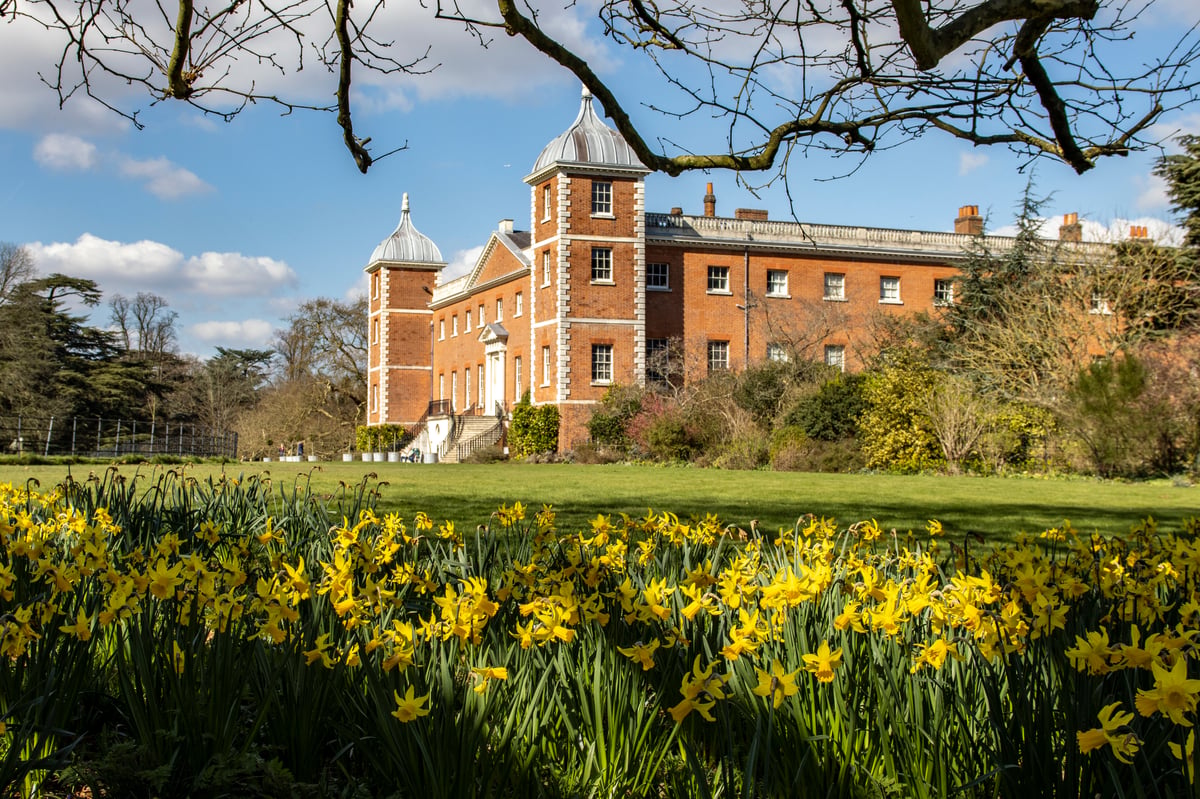 Four London gardens to visit for glorious spring displays this weekend