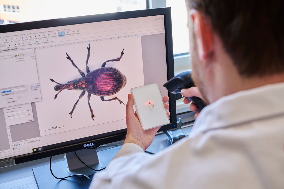 Natural history museums join forces to build ‘groundbreaking’ global database