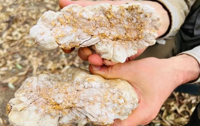 Amateur Australian gold digger finds massive 4.6kg nugget worth £130,000