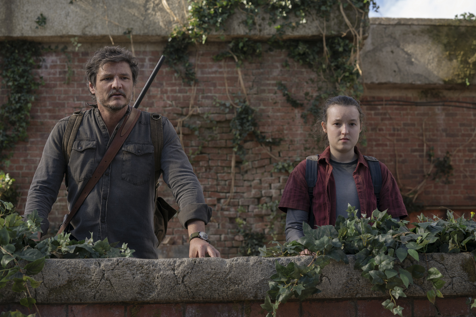 'Zombie fungus' that inspired The Last Of Us discovered in UK
