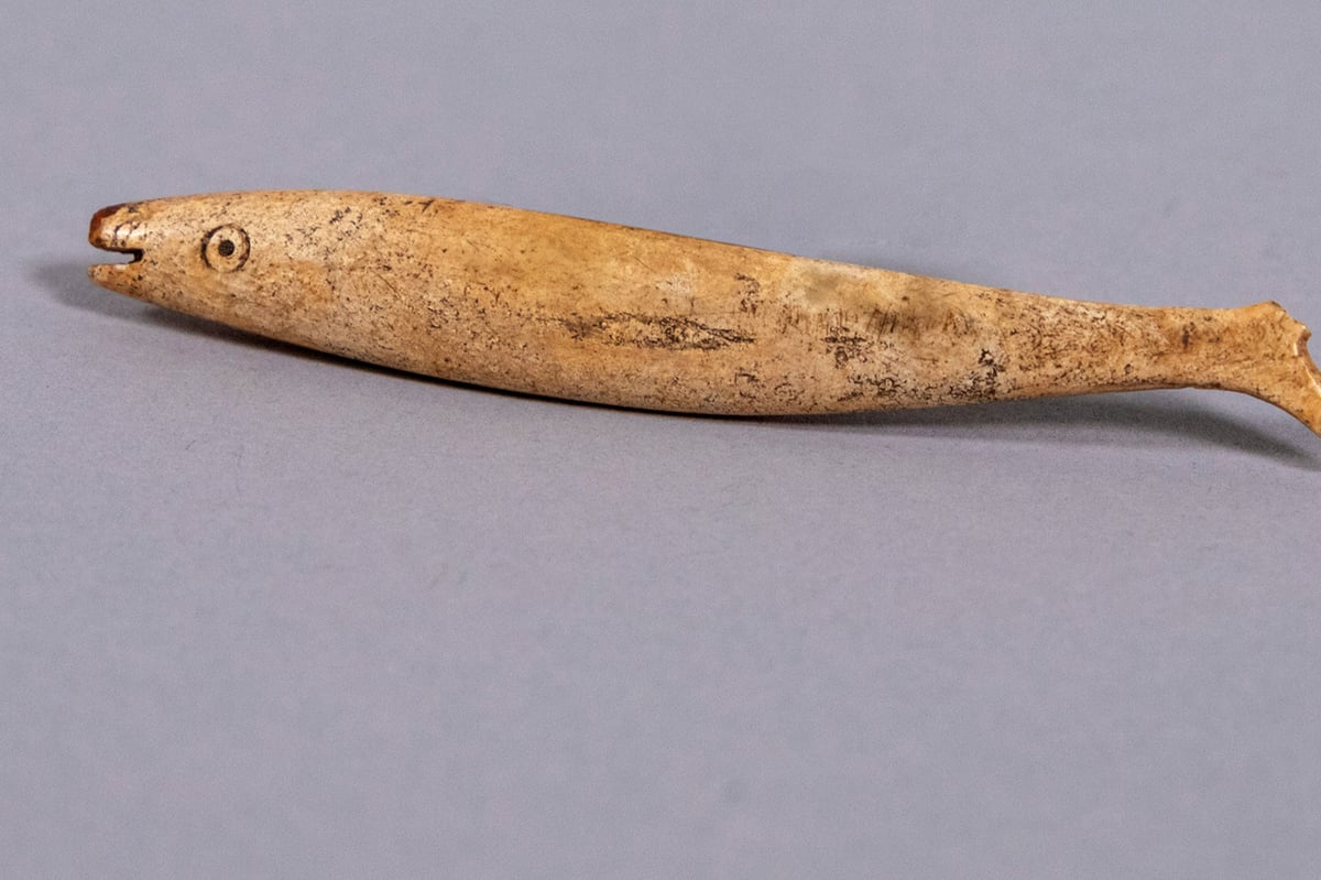 Dig to restore Palace of Westminster unearths 18th Century fish token 
