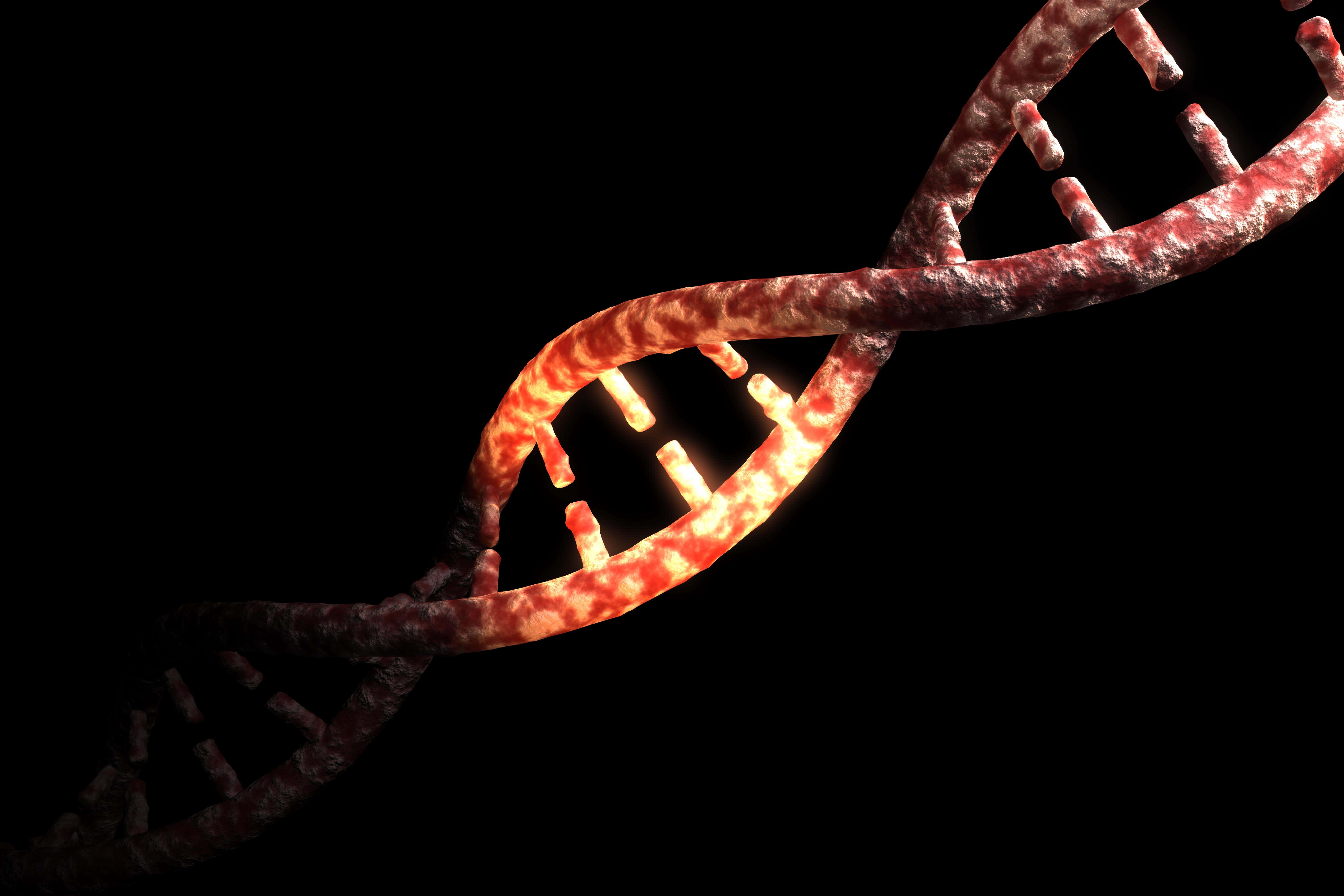 Rosalind Franklin ‘was an equal contributor in the discovery of DNA structure’