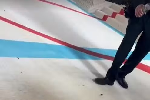 Cockroach on Met Gala red carpet steals the show