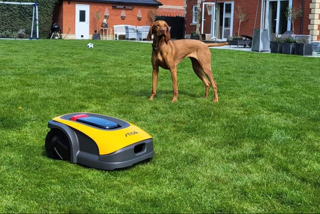 Gardening tech: from robot lawnmowers to app-controlled watering systems