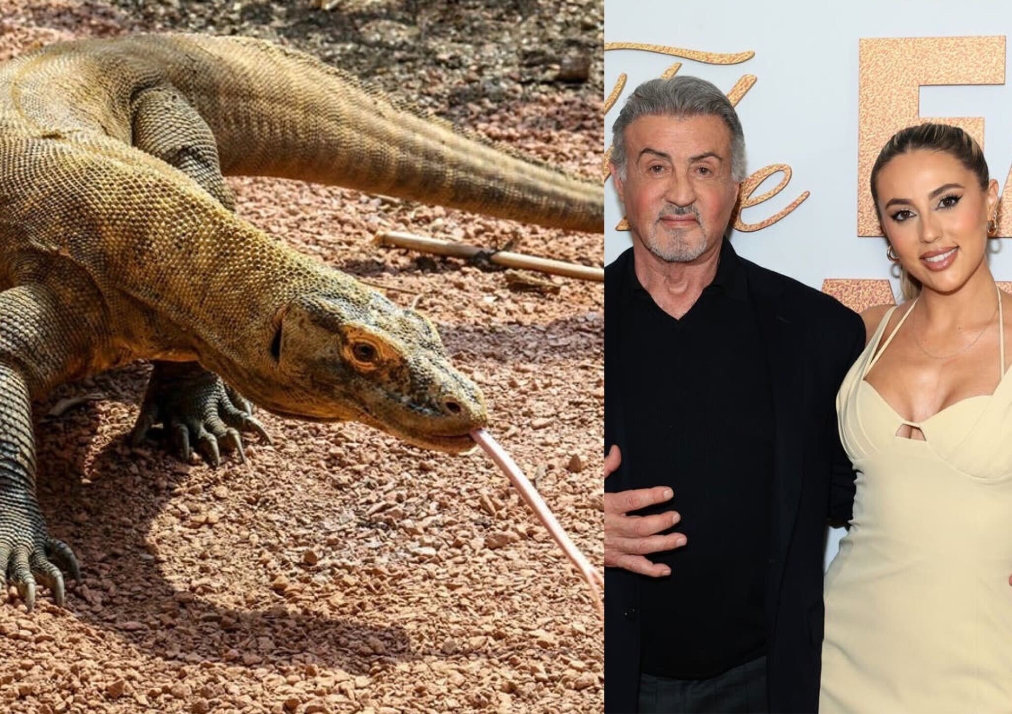 Good News: London Zoo’s newest member and break-up texts from Rocky