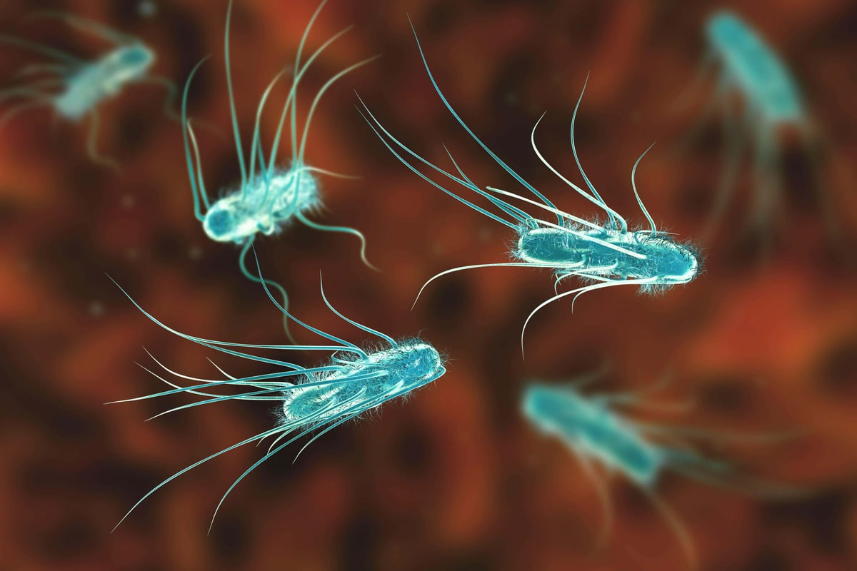 E.coli cases 'likely to rise' after outbreak linked to 'food item'