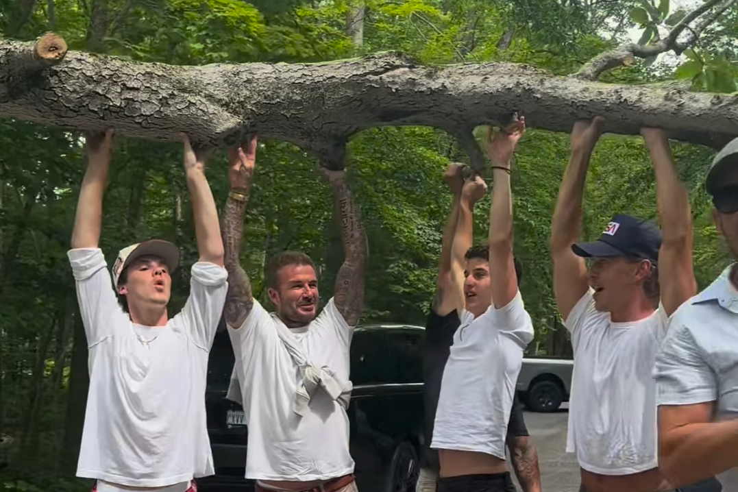 David Beckham, son Cruz and Elvis star Austin Butler remove tree from Canadian road