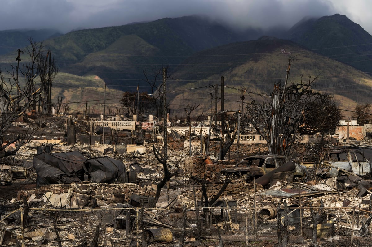 Maui County sues Hawaiian Electric power company over deadly wildfires
