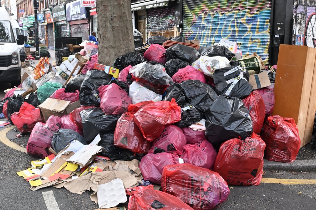 Bin workers in Wes Streeting's Redbridge constituency to strike next month over working conditions