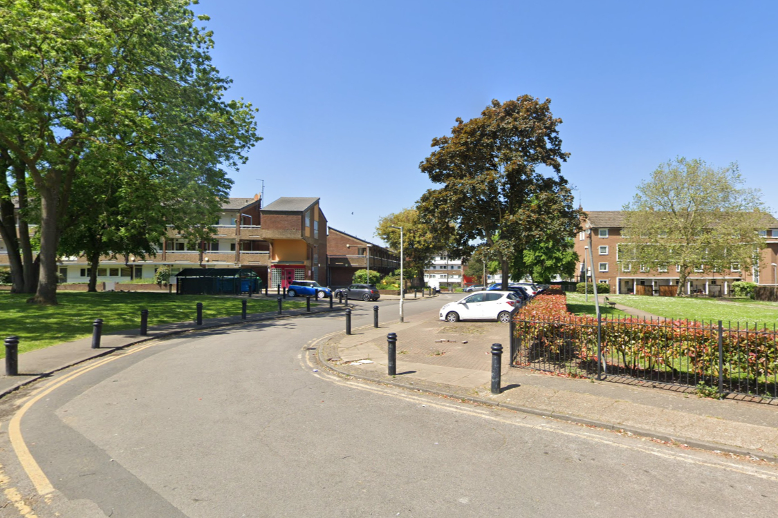 London woman thought she was going to die in savage dangerous dog attack