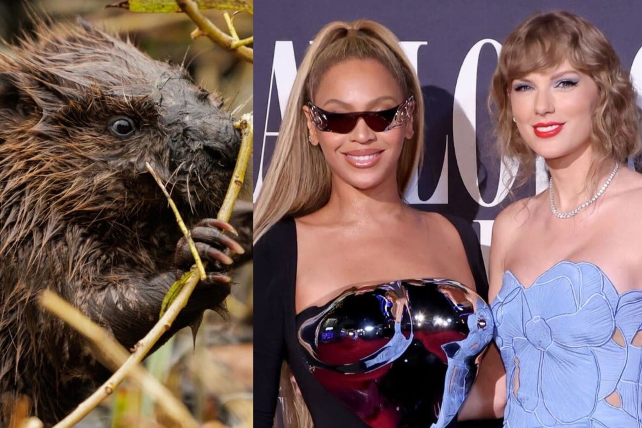 Good news: Camilla speaks out for girls and Swift takes the red carpet