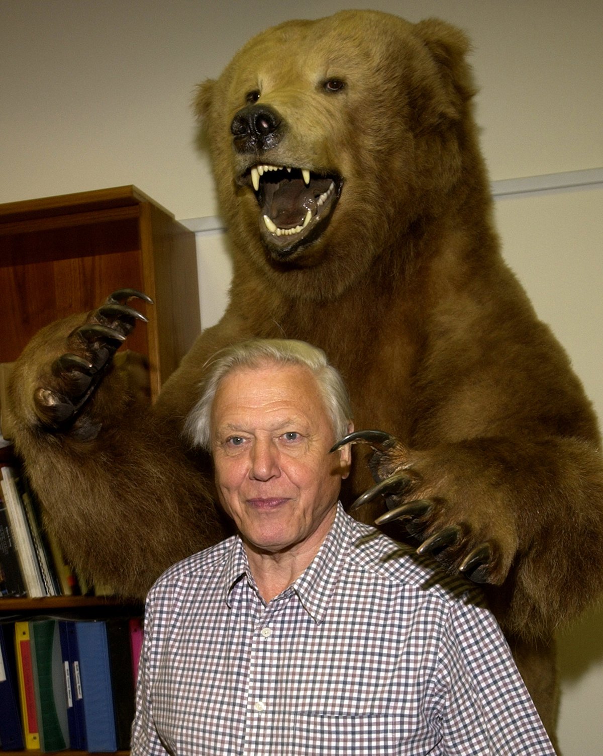 Need To Know: Dolly Parton's pet peeves, David Attenborough facts and more