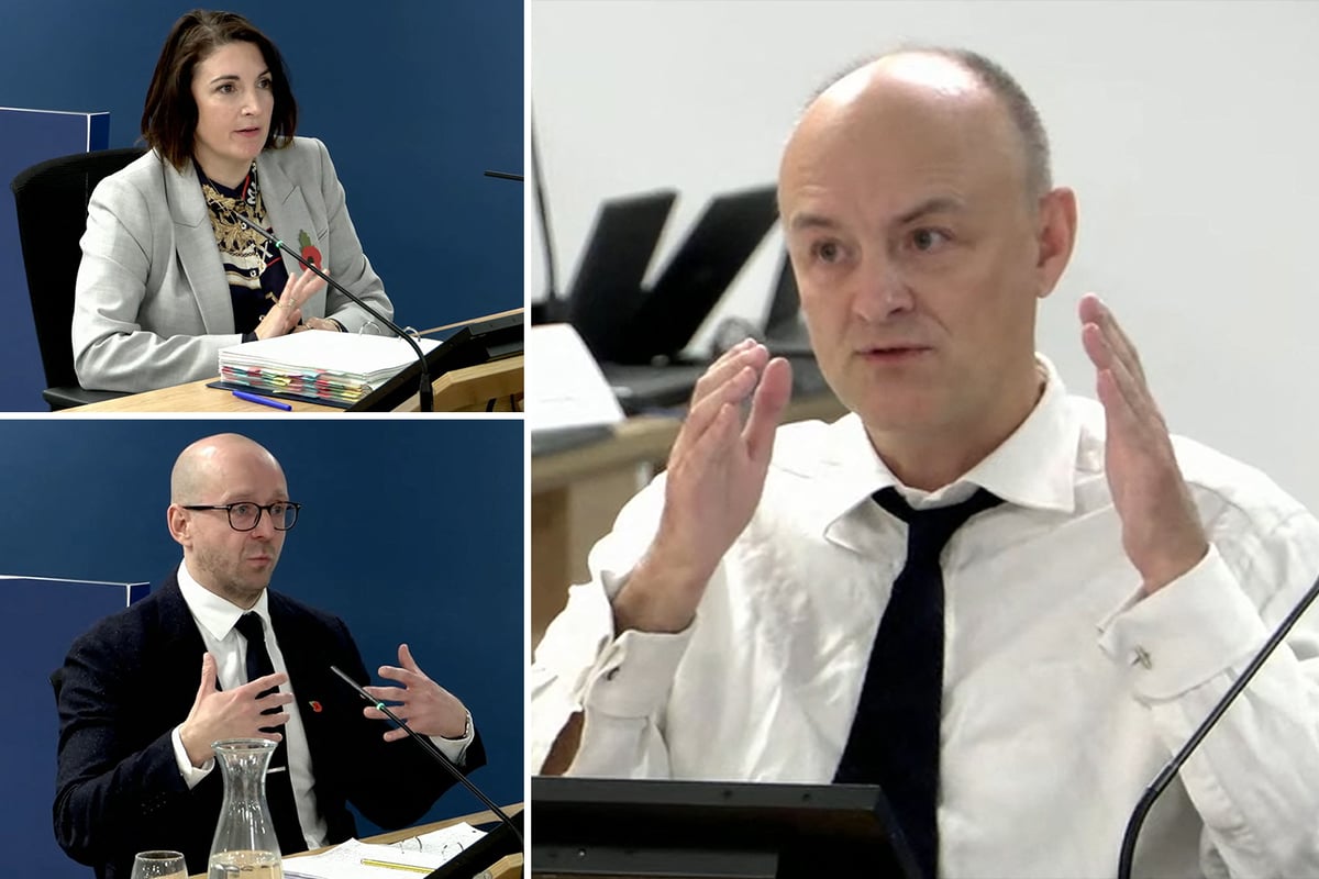 Covid Inquiry: Biggest revelations from Dominic Cummings, Lee Cain, Helen MacNamara and other key players