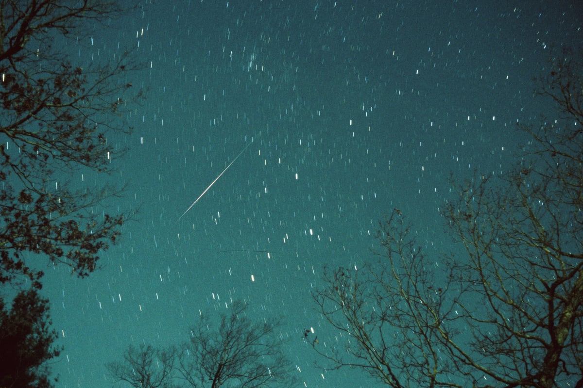 Leonid meteor shower: When does it peak and how can you catch a glimpse?