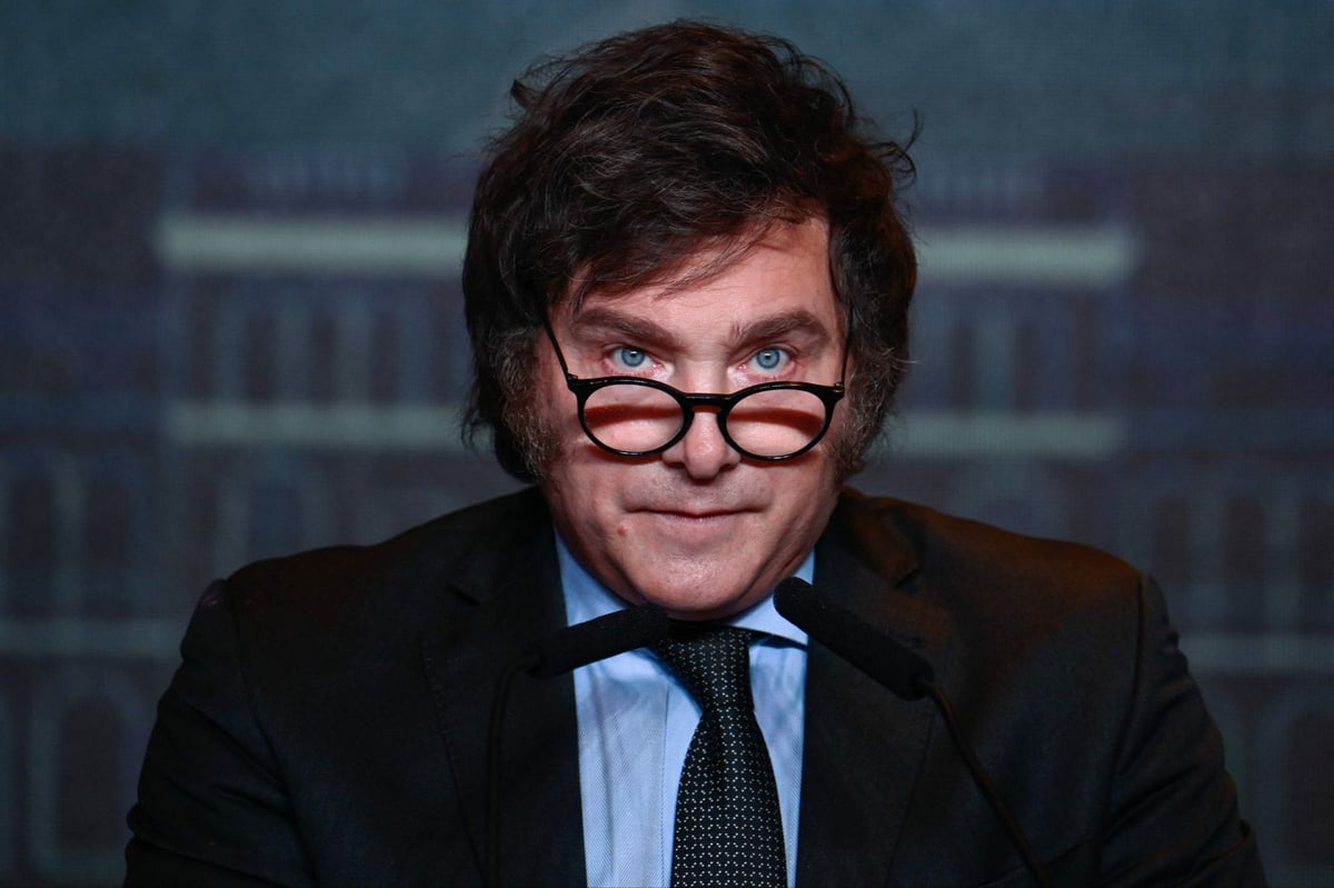 Who is Javier Milei, Argentina's new hard-right president?