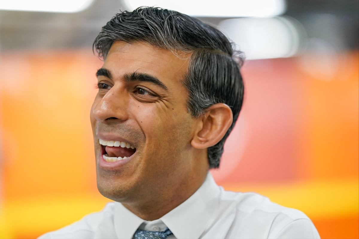 Immigration 'too high', says PM Rishi Sunak as sacked Suella Braverman leads Tory revolt
