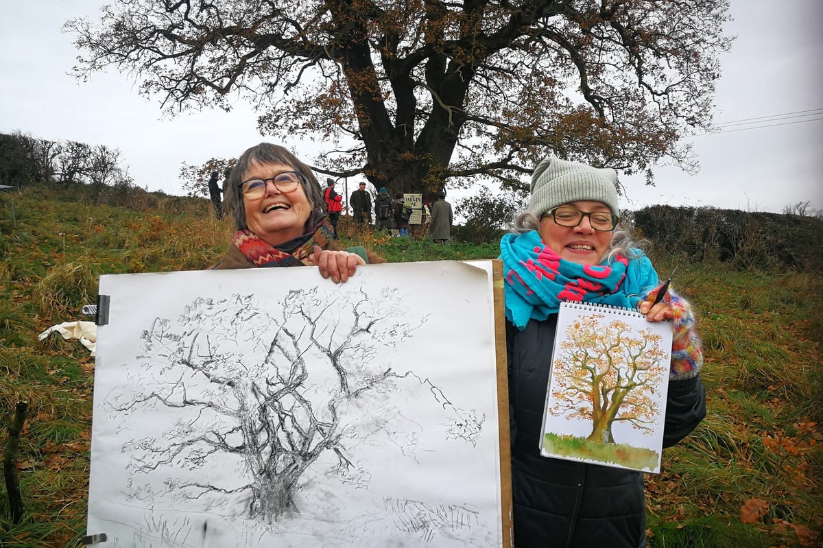 Artist evokes Sycamore Gap emotion after 50 creatives join Darwin Oak protest