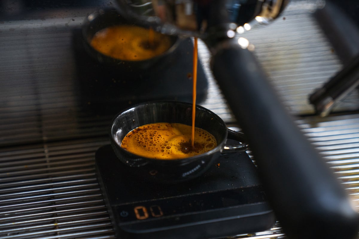 London Coffee Festival 2024: When is it, what to expect, prices