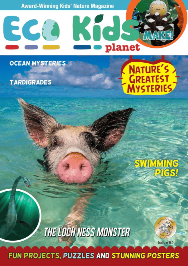 [MAGAZINE COVERS MUST BE USED IN THEIR ENTIRETY] 