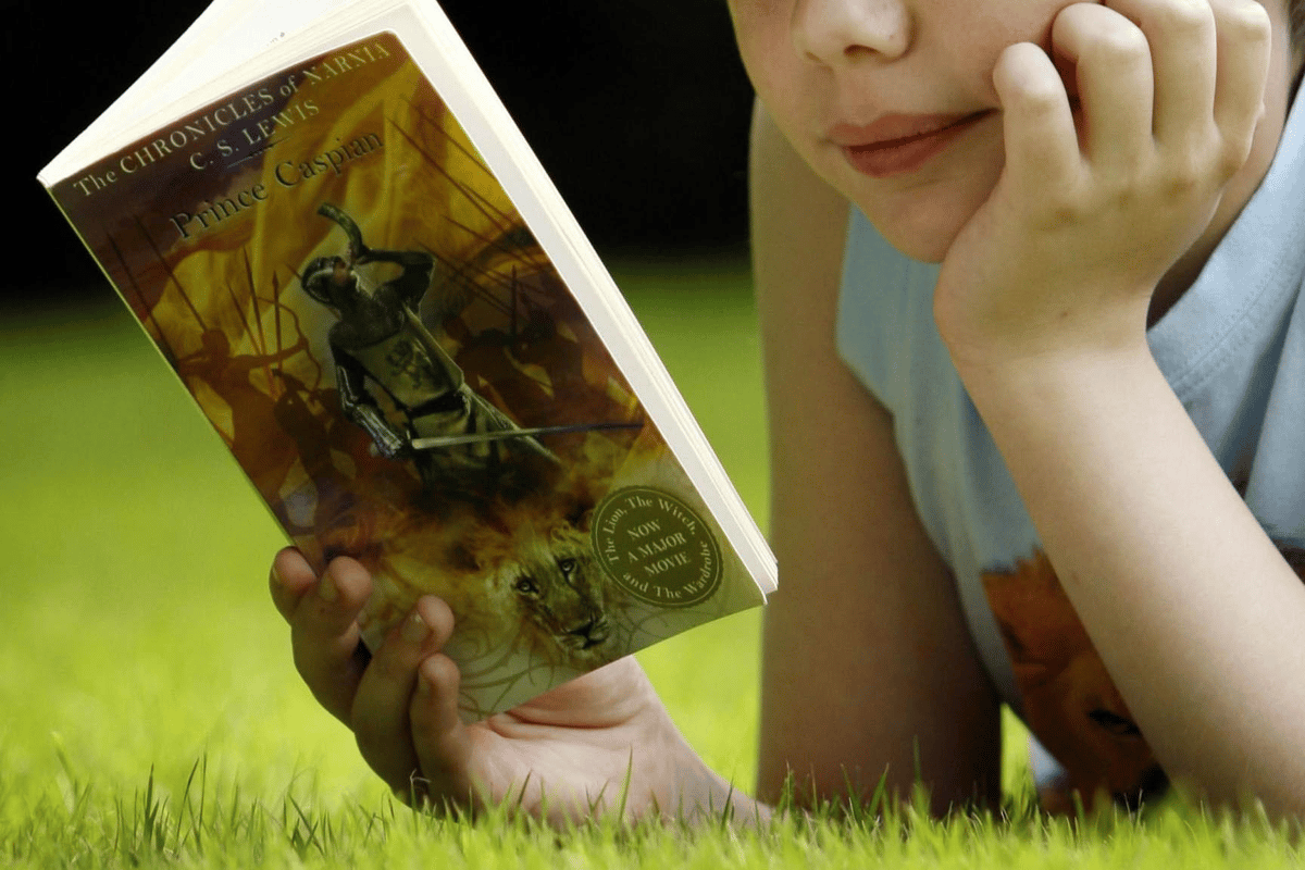 The best childrens books of 2023, from The Bowerbird to Impossible Creatures