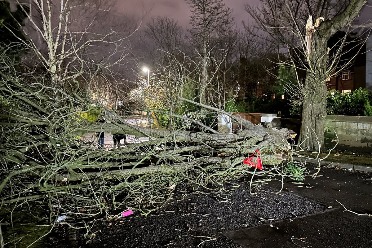 Storm Isha leaves thousands of people without power