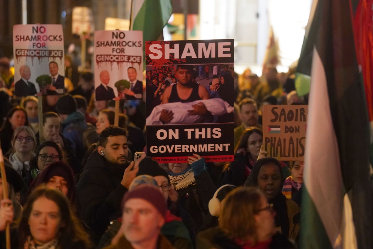 Irish Government defeats votes on calls to support South Africa case