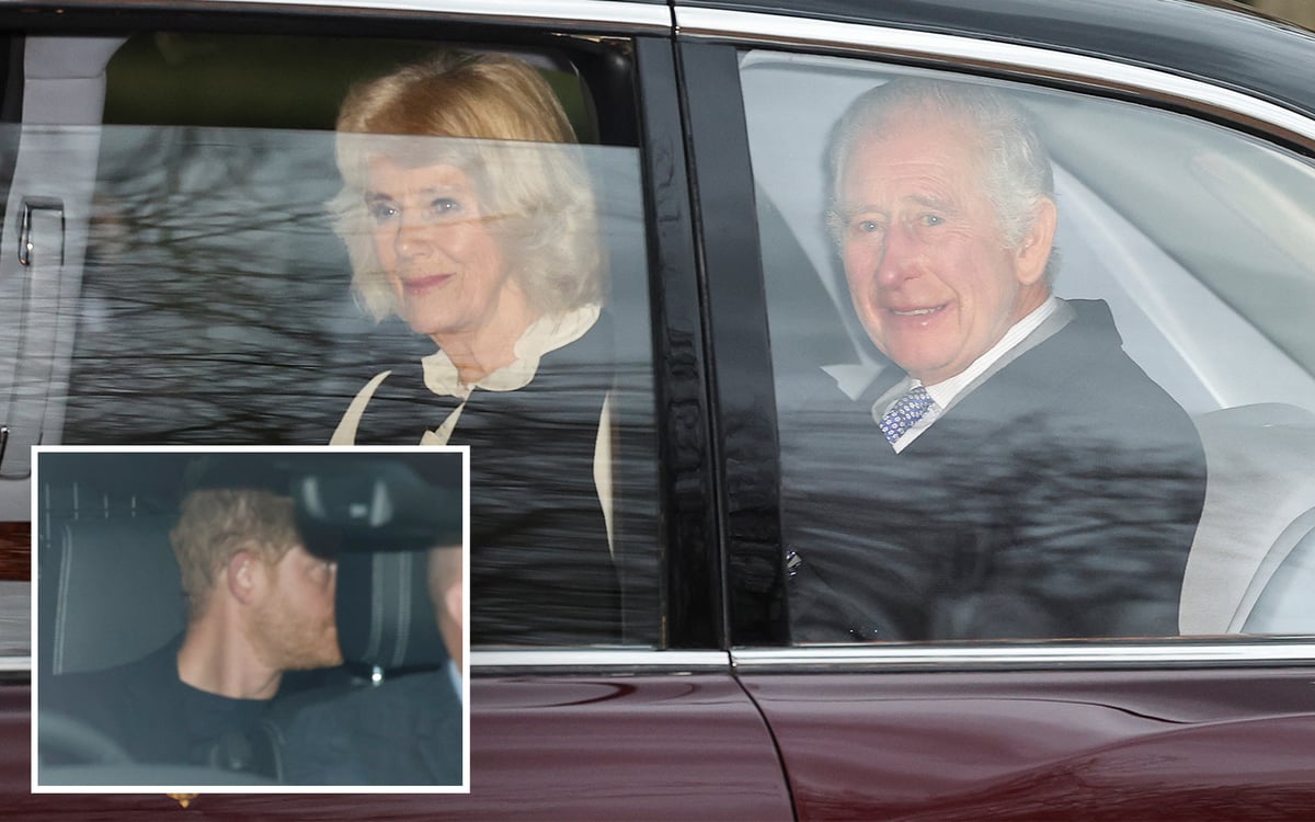 King travels to Sandringham as he is seen for first time since cancer diagnosis after meeting Prince Harry