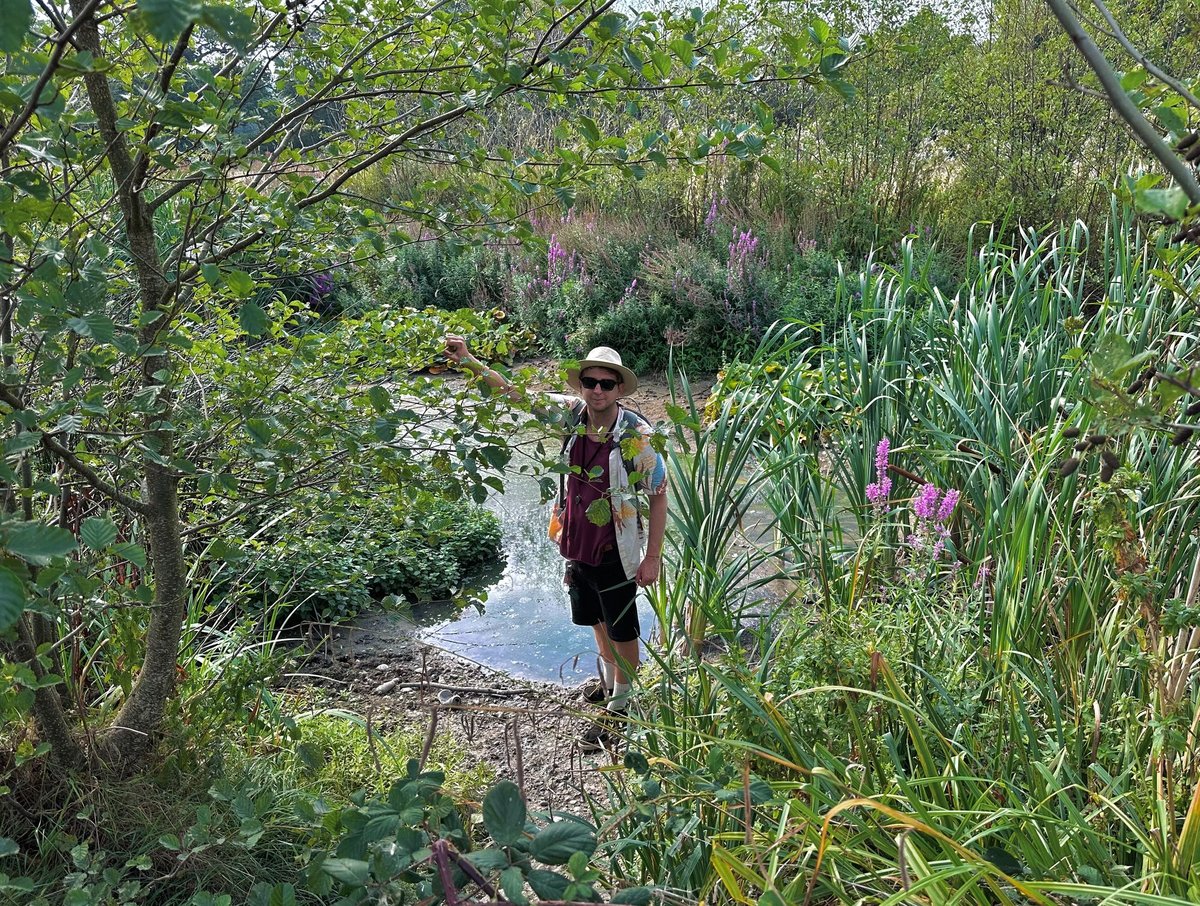 Kicking off: battle over Tottenham Hotspur training pitch plans for unique north London wildlife haven