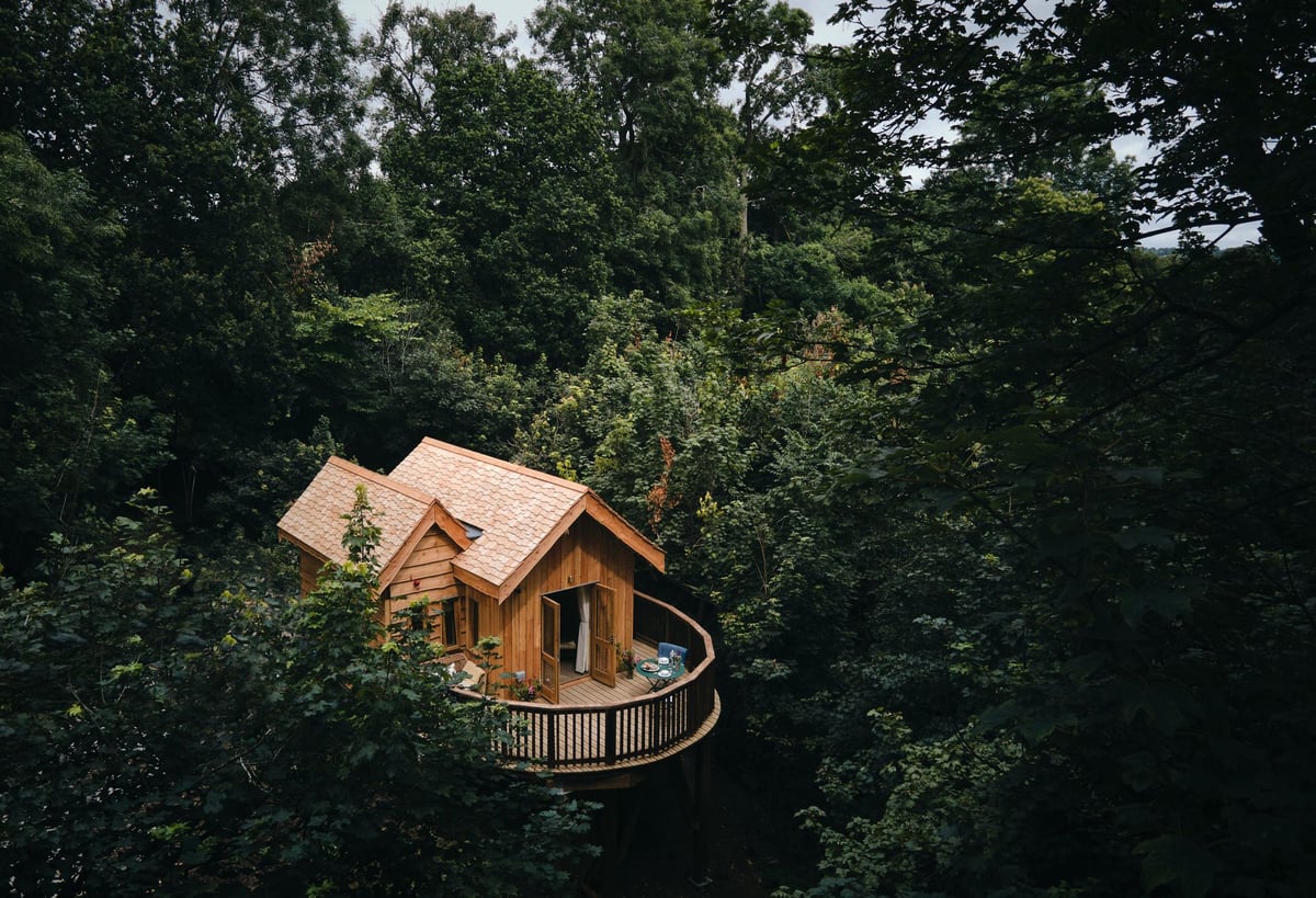 Wildhive Callow Hall: rustic treehouses and classic country house hotel style in the Peak District