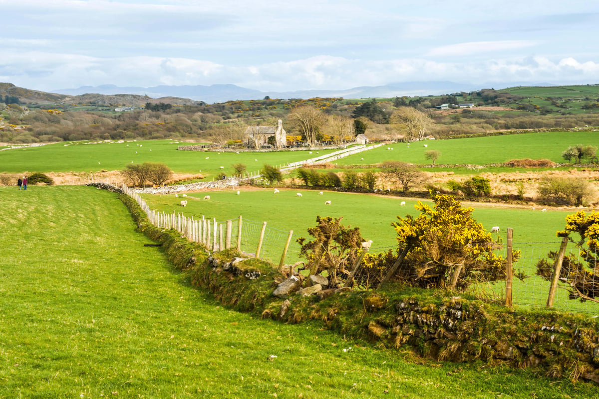 Welsh Government’s subsidy scheme ‘will decimate farming communities’, PM warns