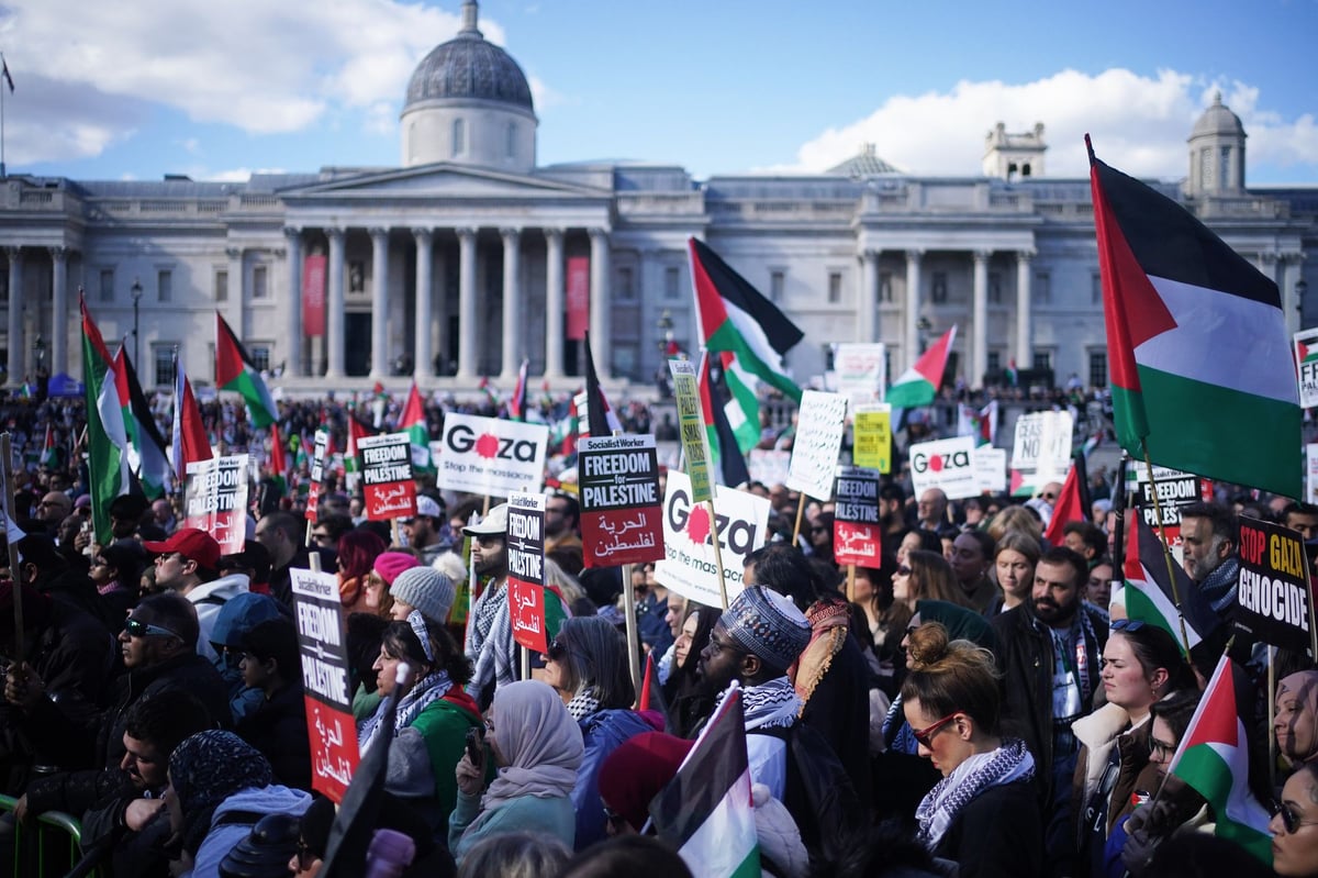 Gaza protests in London cost Met police £40 million as more than 300 arrested